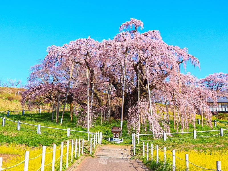 スタンプラリーのバナー画像